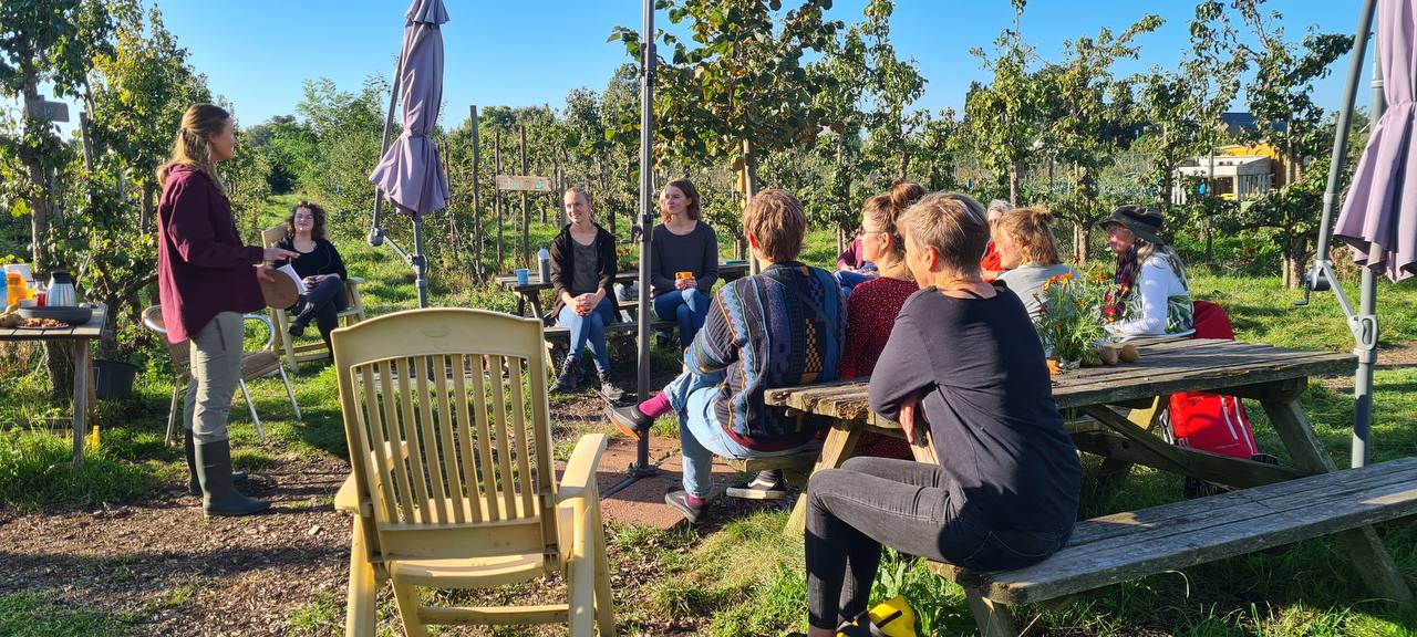 Teaching sustainability in the garden